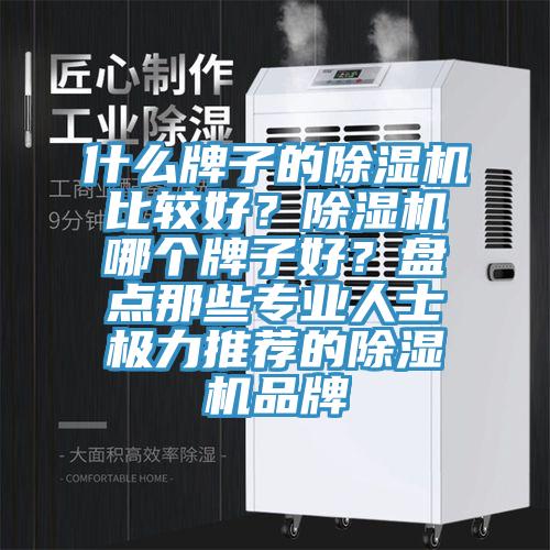 什么牌子的除濕機比較好？除濕機哪個(gè)牌子好？盤(pán)點(diǎn)那些專(zhuān)業(yè)人士極力推薦的除濕機品牌