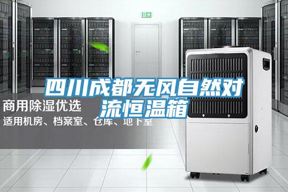 四川成都無(wú)風(fēng)自然對流恒溫箱