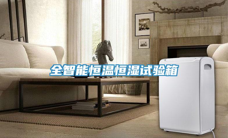 全智能恒溫恒濕試驗箱
