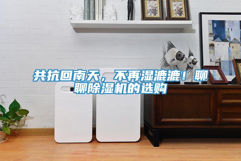 共抗回南天，不再濕漉漉！聊聊除濕機的選購