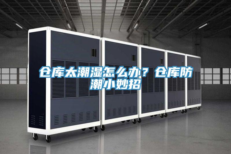 倉庫太潮濕怎么辦？倉庫防潮小妙招