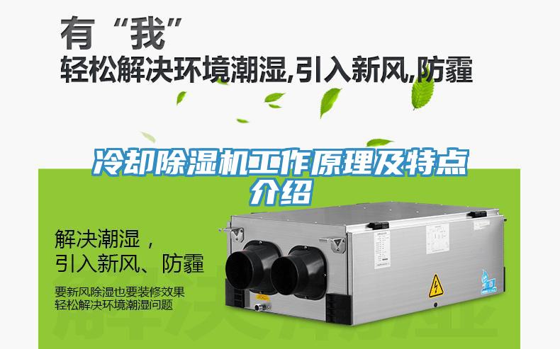 冷卻除濕機工作原理及特點(diǎn)介紹