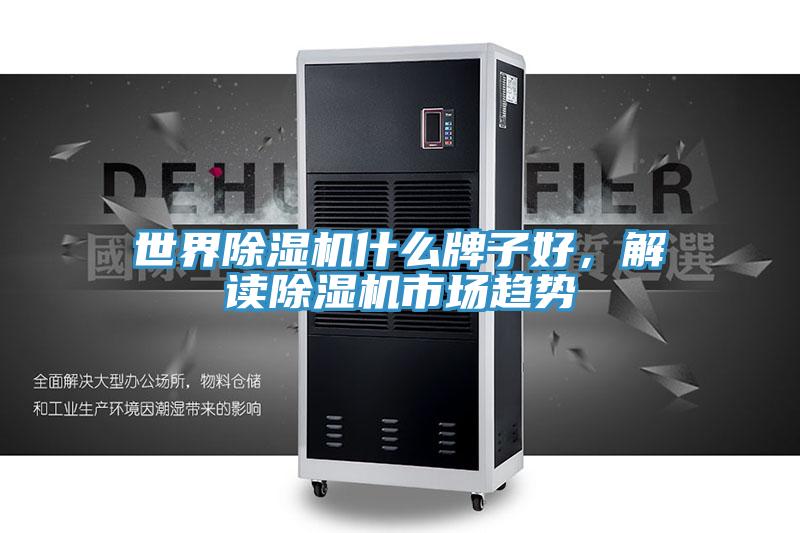 世界除濕機什么牌子好，解讀除濕機市場(chǎng)趨勢