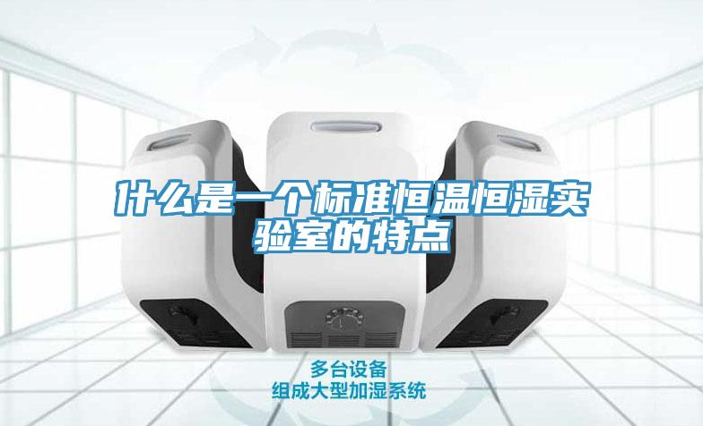 什么是一個(gè)標準恒溫恒濕實(shí)驗室的特點(diǎn)