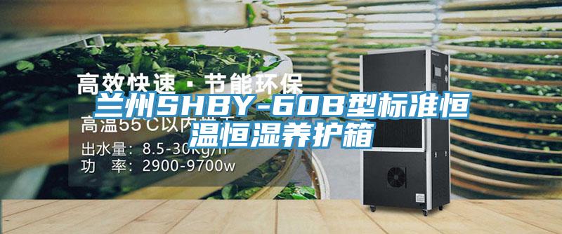 蘭州SHBY-60B型標準恒溫恒濕養護箱