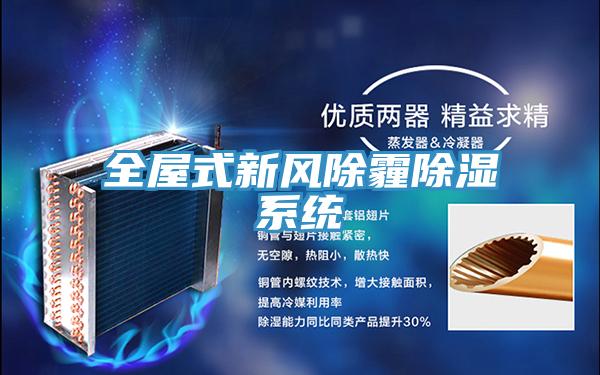 全屋式新風(fēng)除霾除濕系統