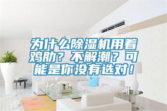 為什么除濕機用著(zhù)雞肋？不解潮？可能是你沒(méi)有選對！