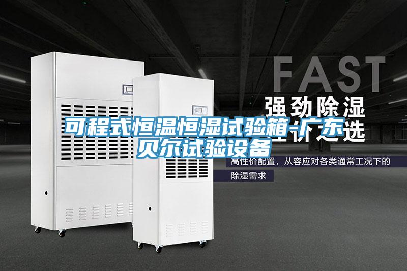 可程式恒溫恒濕試驗箱-廣東貝爾試驗設備