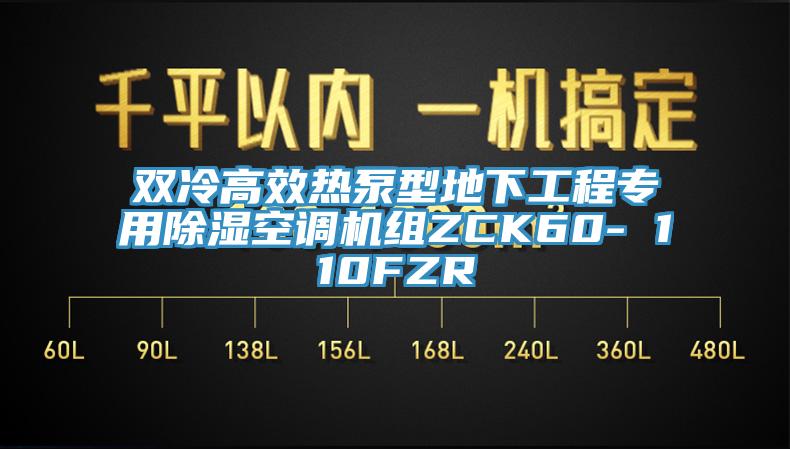 雙冷高效熱泵型地下工程專(zhuān)用除濕空調機組ZCK60- 110FZR