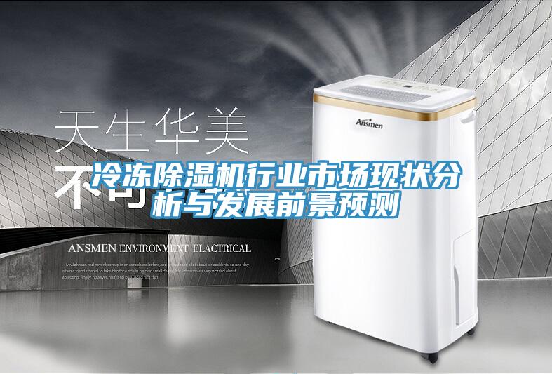 冷凍除濕機行業(yè)市場(chǎng)現狀分析與發(fā)展前景預測