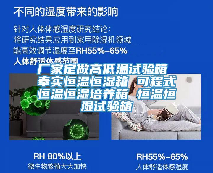 廠(chǎng)家定做高低溫試驗箱 奉實(shí)恒溫恒濕箱 可程式恒溫恒濕培養箱 恒溫恒濕試驗箱