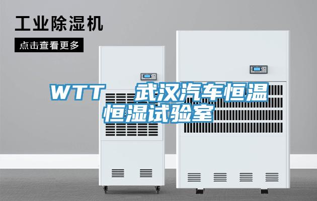 WTT  武漢汽車(chē)恒溫恒濕試驗室