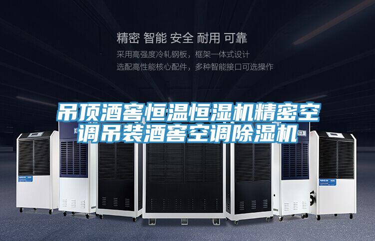 吊頂酒窖恒溫恒濕機精密空調吊裝酒窖空調除濕機