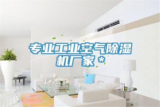 專(zhuān)業(yè)工業(yè)空氣除濕機廠(chǎng)家＊