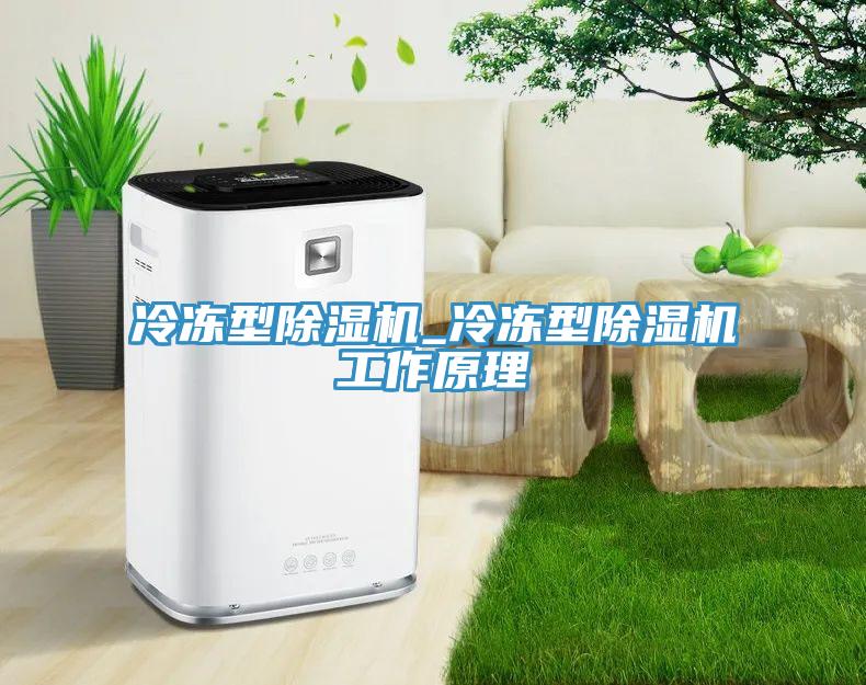 冷凍型除濕機_冷凍型除濕機工作原理