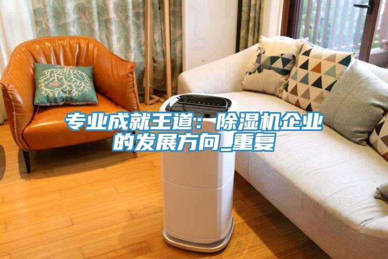專(zhuān)業(yè)成就王道：除濕機企業(yè)的發(fā)展方向_重復