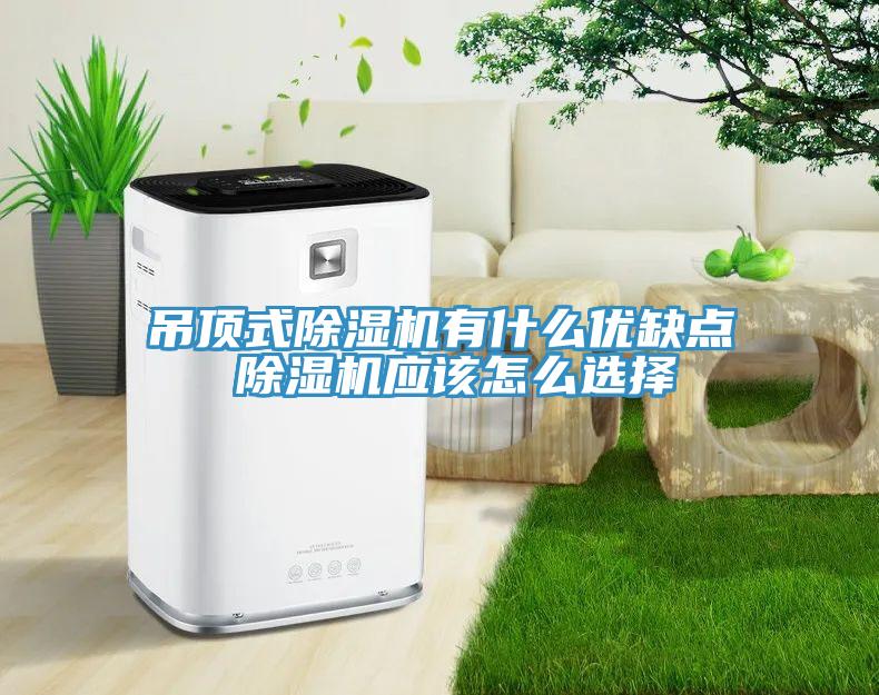吊頂式除濕機有什么優(yōu)缺點(diǎn) 除濕機應該怎么選擇