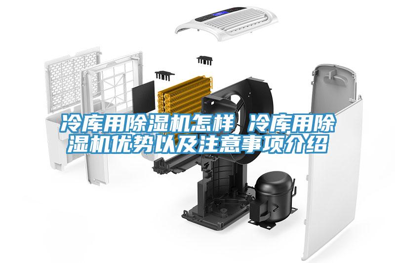 冷庫用除濕機怎樣 冷庫用除濕機優(yōu)勢以及注意事項介紹