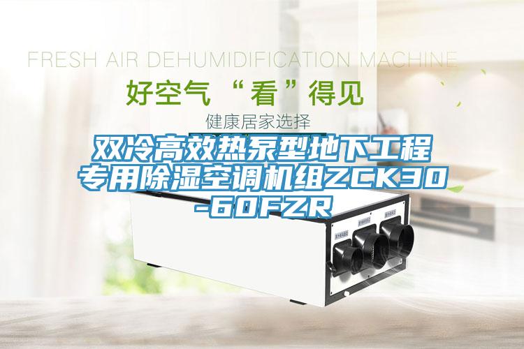 雙冷高效熱泵型地下工程專(zhuān)用除濕空調機組ZCK30-60FZR