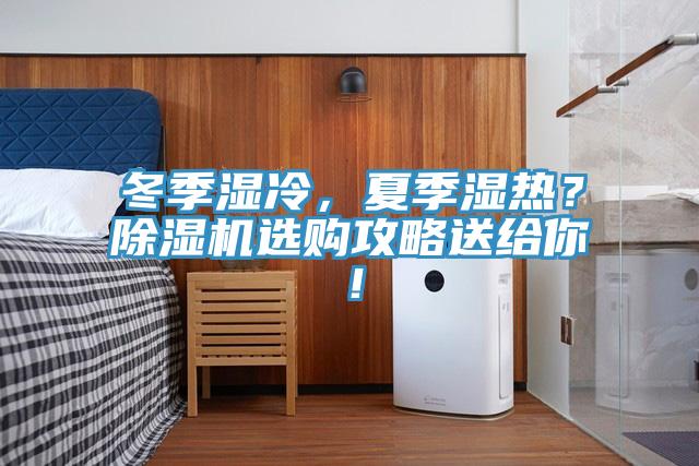 冬季濕冷，夏季濕熱？除濕機選購攻略送給你！
