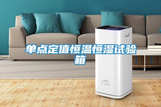 單點(diǎn)定值恒溫恒濕試驗箱