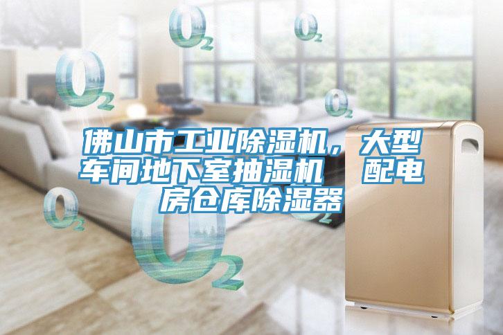 佛山市工業(yè)除濕機，大型車(chē)間地下室抽濕機  配電房倉庫除濕器