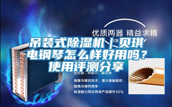 吊裝式除濕機｜貝琪電鋼琴怎么樣好用嗎？使用評測分享