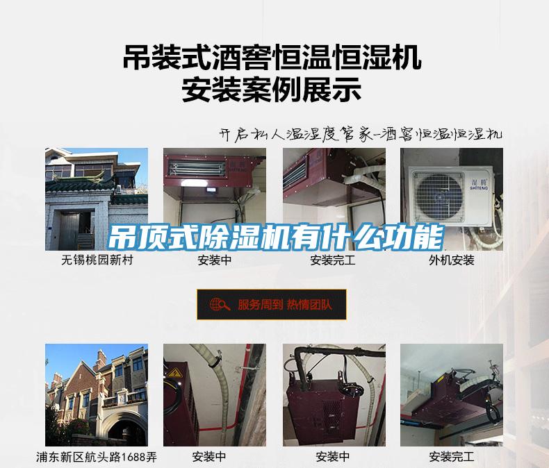 吊頂式除濕機有什么功能