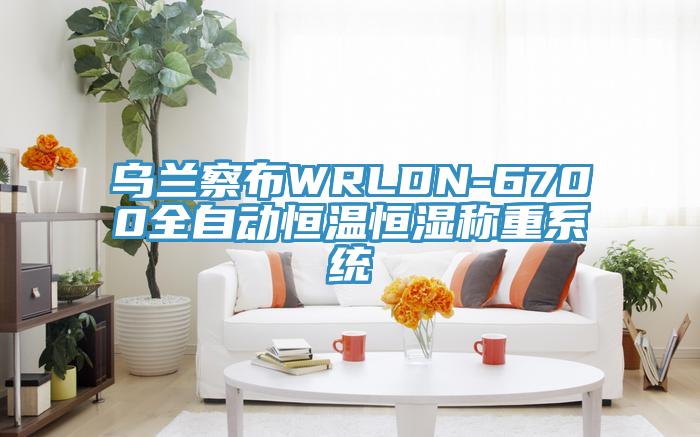 烏蘭察布WRLDN-6700全自動(dòng)恒溫恒濕稱(chēng)重系統