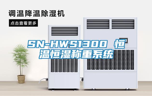 SN-HWS1300 恒溫恒濕稱(chēng)重系統