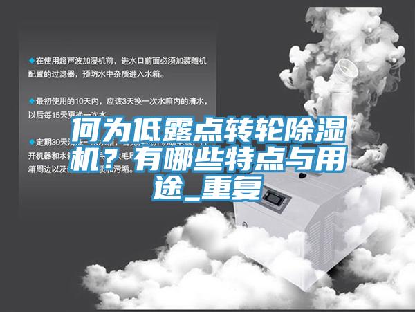 何為低露點(diǎn)轉輪除濕機？有哪些特點(diǎn)與用途_重復