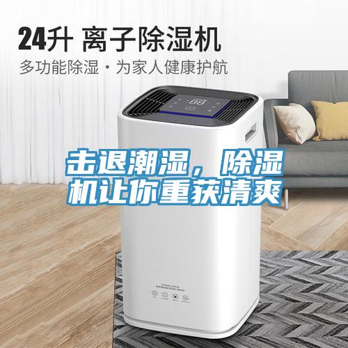 擊退潮濕，除濕機讓你重獲清爽