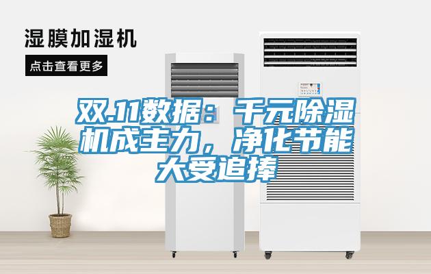 雙.11數據：千元除濕機成主力，凈化節能大受追捧