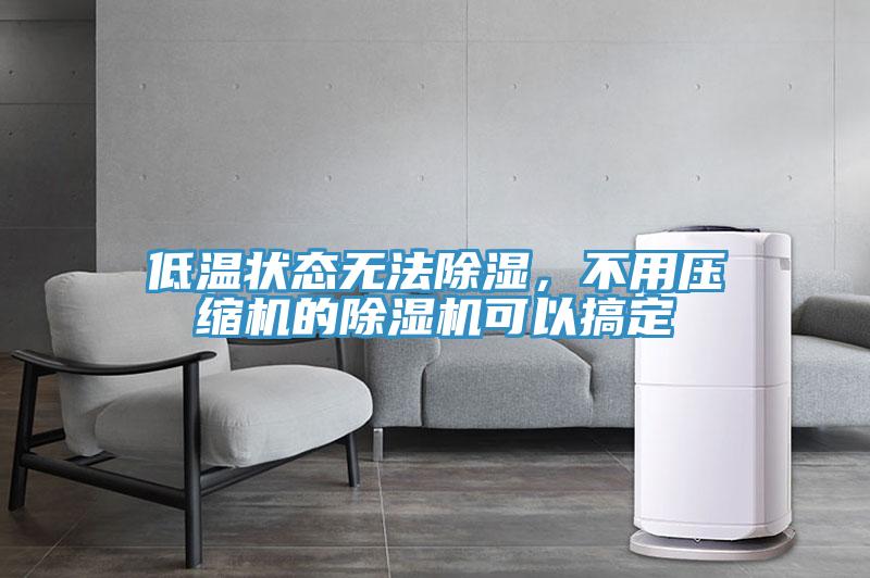 低溫狀態(tài)無(wú)法除濕，不用壓縮機的除濕機可以搞定