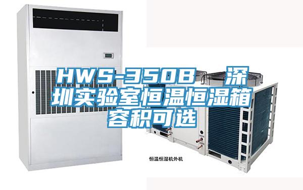 HWS-350B  深圳實(shí)驗室恒溫恒濕箱容積可選