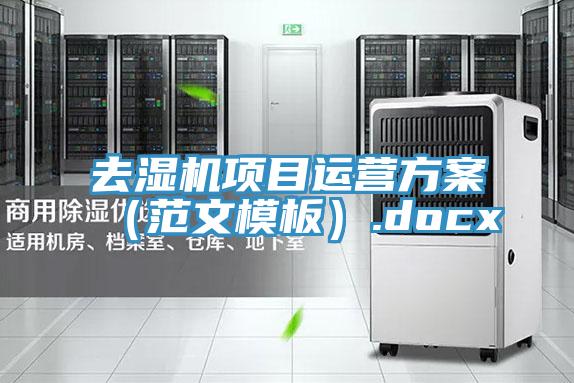 去濕機項目運營(yíng)方案（范文模板）.docx