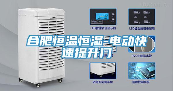 合肥恒溫恒濕-電動(dòng)快速提升門(mén)