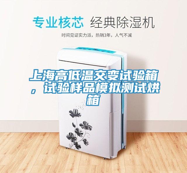 上海高低溫交變試驗箱，試驗樣品模擬測試烘箱