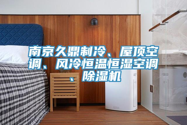 南京久鼎制冷、屋頂空調、風(fēng)冷恒溫恒濕空調、除濕機