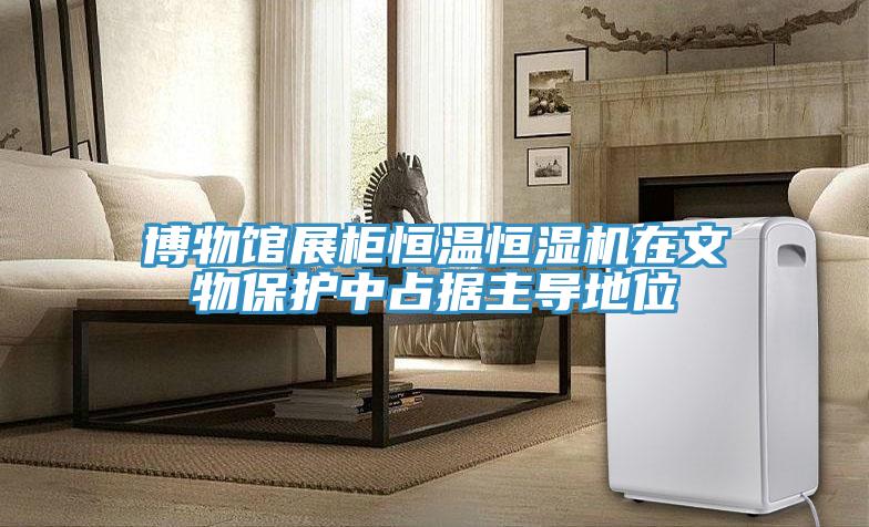 博物館展柜恒溫恒濕機在文物保護中占據主導地位