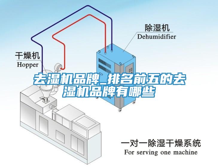 去濕機品牌_排名前五的去濕機品牌有哪些