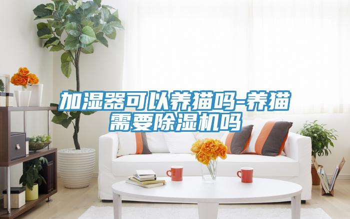 加濕器可以養貓嗎-養貓需要除濕機嗎