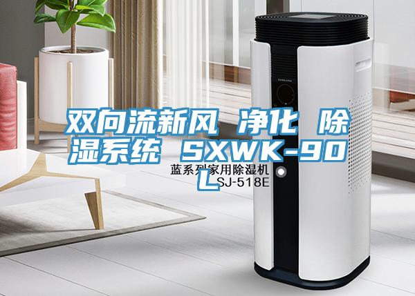 雙向流新風(fēng) 凈化 除濕系統 SXWK-90L
