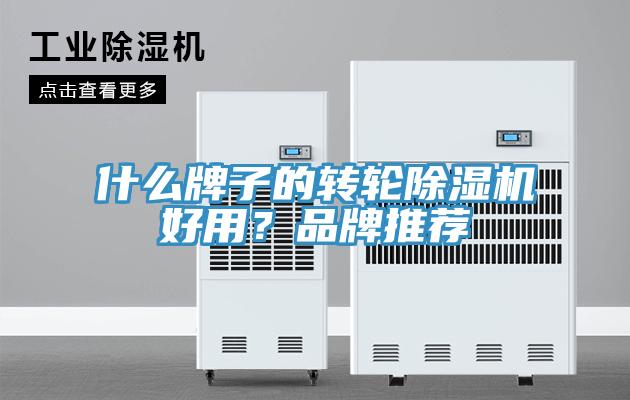 什么牌子的轉輪除濕機好用？品牌推薦