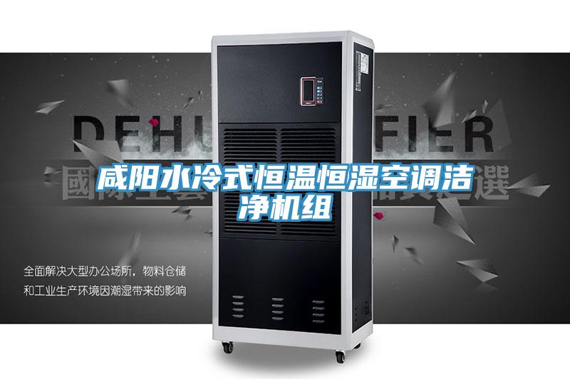 咸陽(yáng)水冷式恒溫恒濕空調潔凈機組