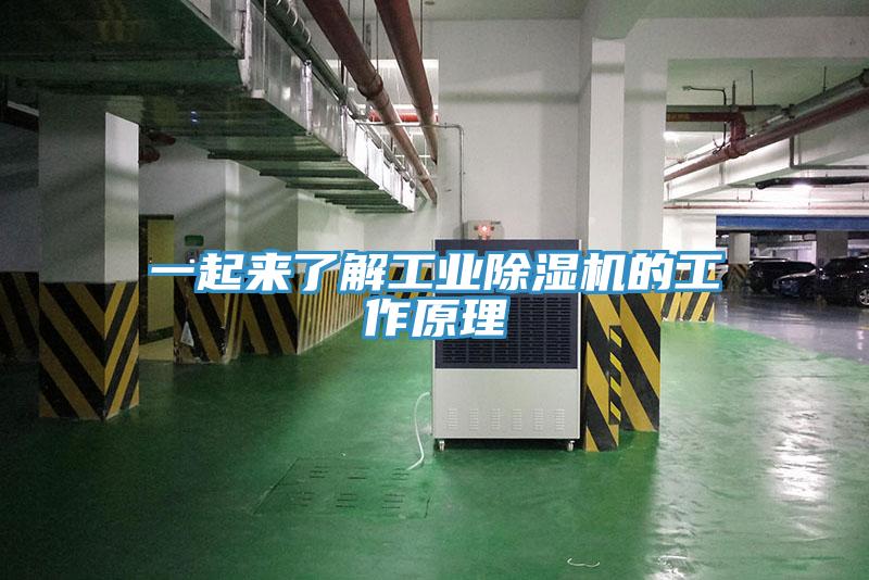 一起來(lái)了解工業(yè)除濕機的工作原理
