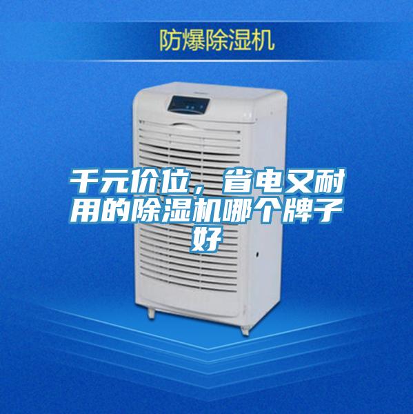 千元價(jià)位，省電又耐用的除濕機哪個(gè)牌子好
