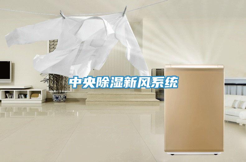 中央除濕新風(fēng)系統