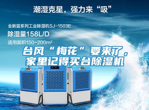 臺風(fēng)“梅花”要來(lái)了，家里記得買(mǎi)臺除濕機