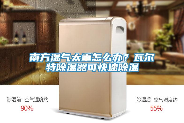 南方濕氣太重怎么辦？瓦爾特除濕器可快速除濕